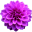 www.kosmosjournal.org
