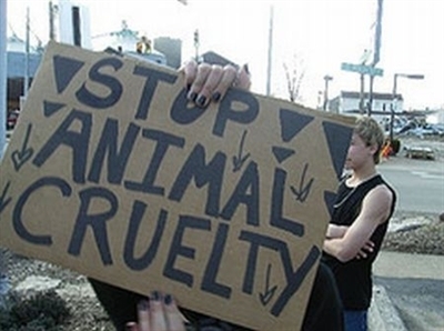 Stop-Animal-Cruelty-animal-rights-5325341-400-298.jpg