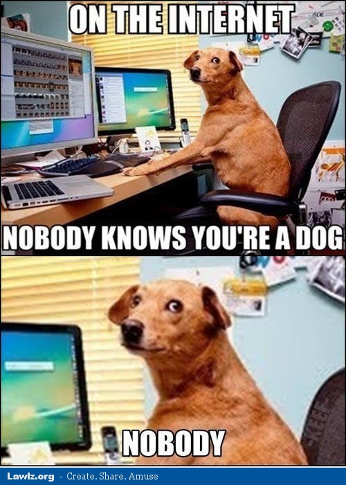 on-the-internet-nobody-knows-youre-a-dog-meme.jpg