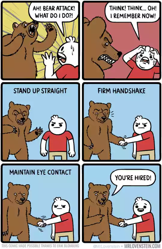 funny-comic-bear-attack-job-interview.png