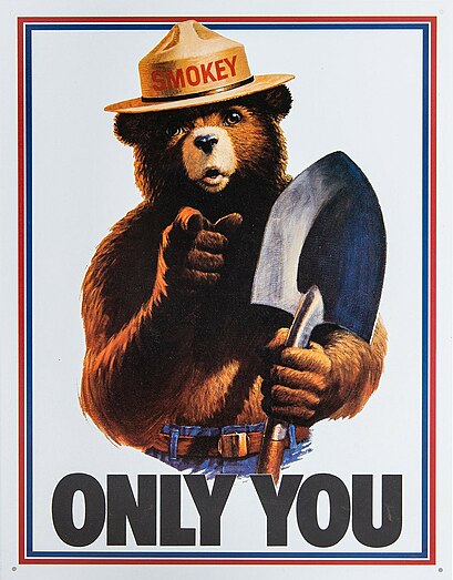 409px-Smokey_Bear_Only_You_campaign_hat.jpg