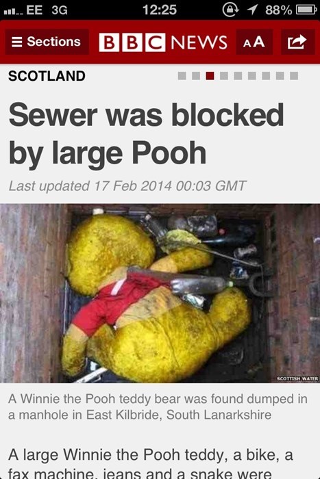 large-pooh-blocks-sewer.jpg